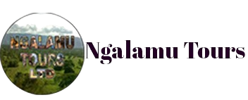 Ngalamu Tours