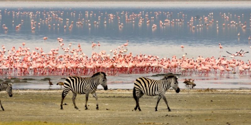 Lake Manyara Safari (2 Days)